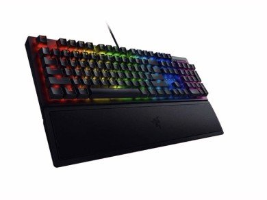 Keyboard Razer? BlackWidow V3 (Yellow Switch)